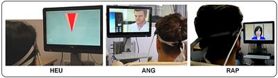 Prefrontal Asymmetry BCI Neurofeedback Datasets